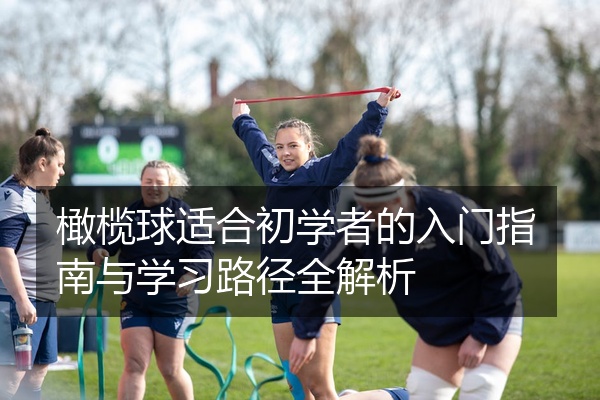 橄榄球适合初学者的入门指南与学习路径全解析