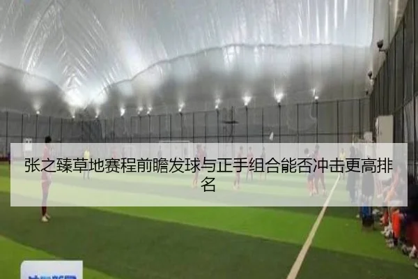 张之臻草地赛程前瞻发球与正手组合能否冲击更高排名