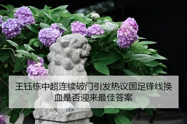 王钰栋中超连续破门引发热议国足锋线换血是否迎来最佳答案